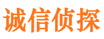 卧龙市调查公司